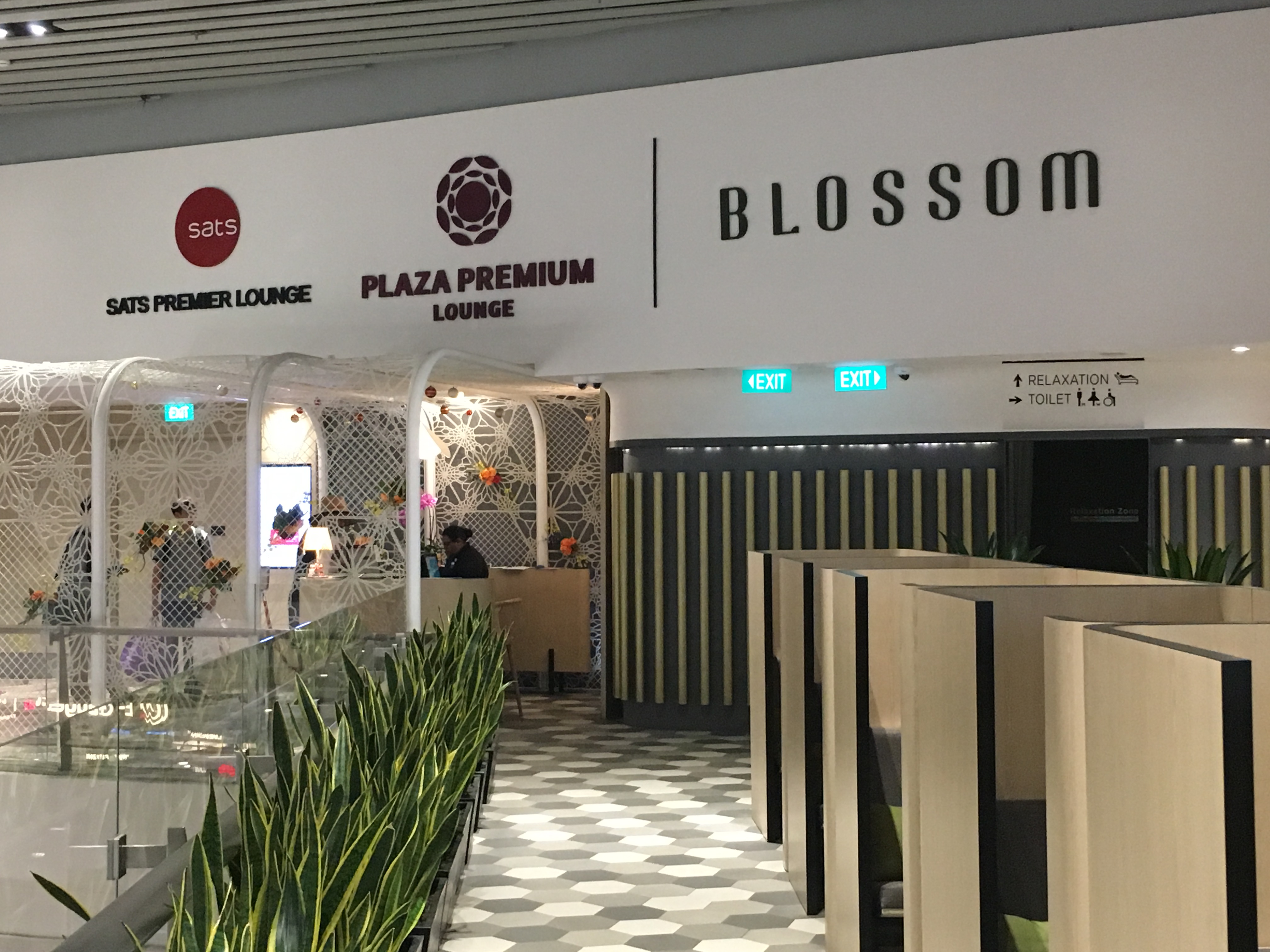Lounge Review : シンガポール空港(SIN) ターミナル4 ブロッサムラウンジ(Blossom Lounge)