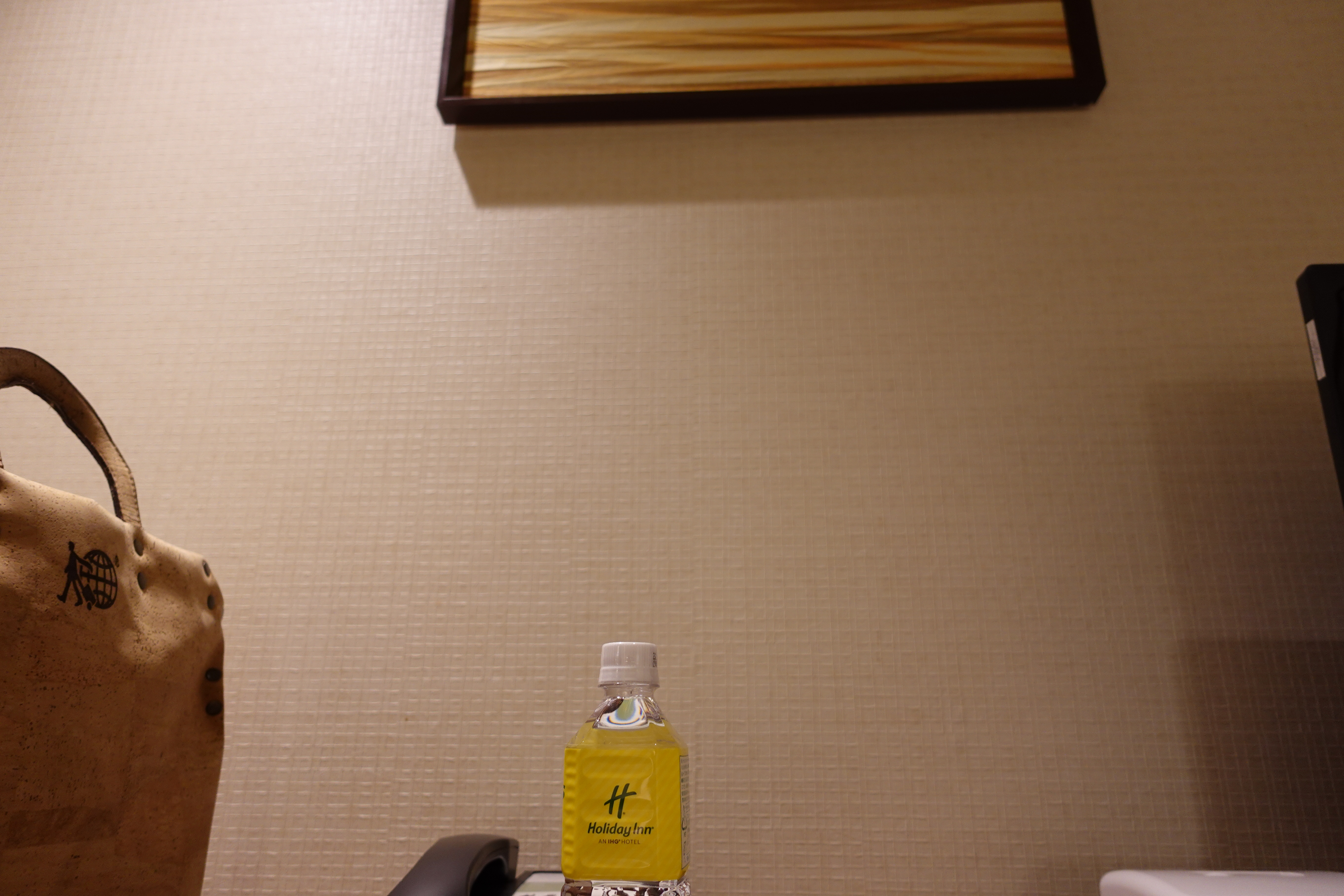 Hotel Review : ANA ホリデイ・イン 金沢スカイ(ANA Holiday Inn Kanazawa SKY)