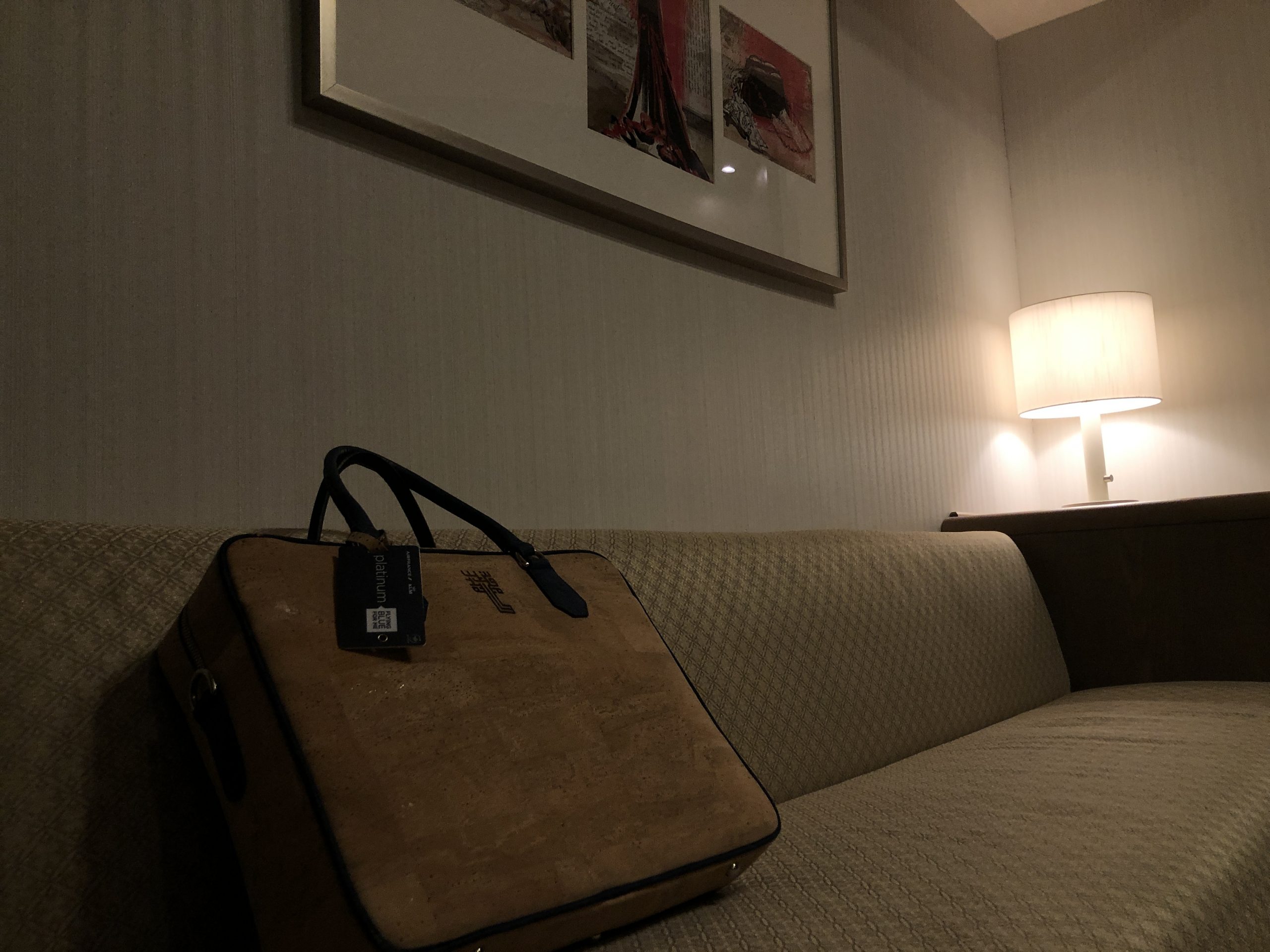 Hotel Review : メルキュールホテル横須賀(Mercure Hotel Yokosuka Privilege Room)