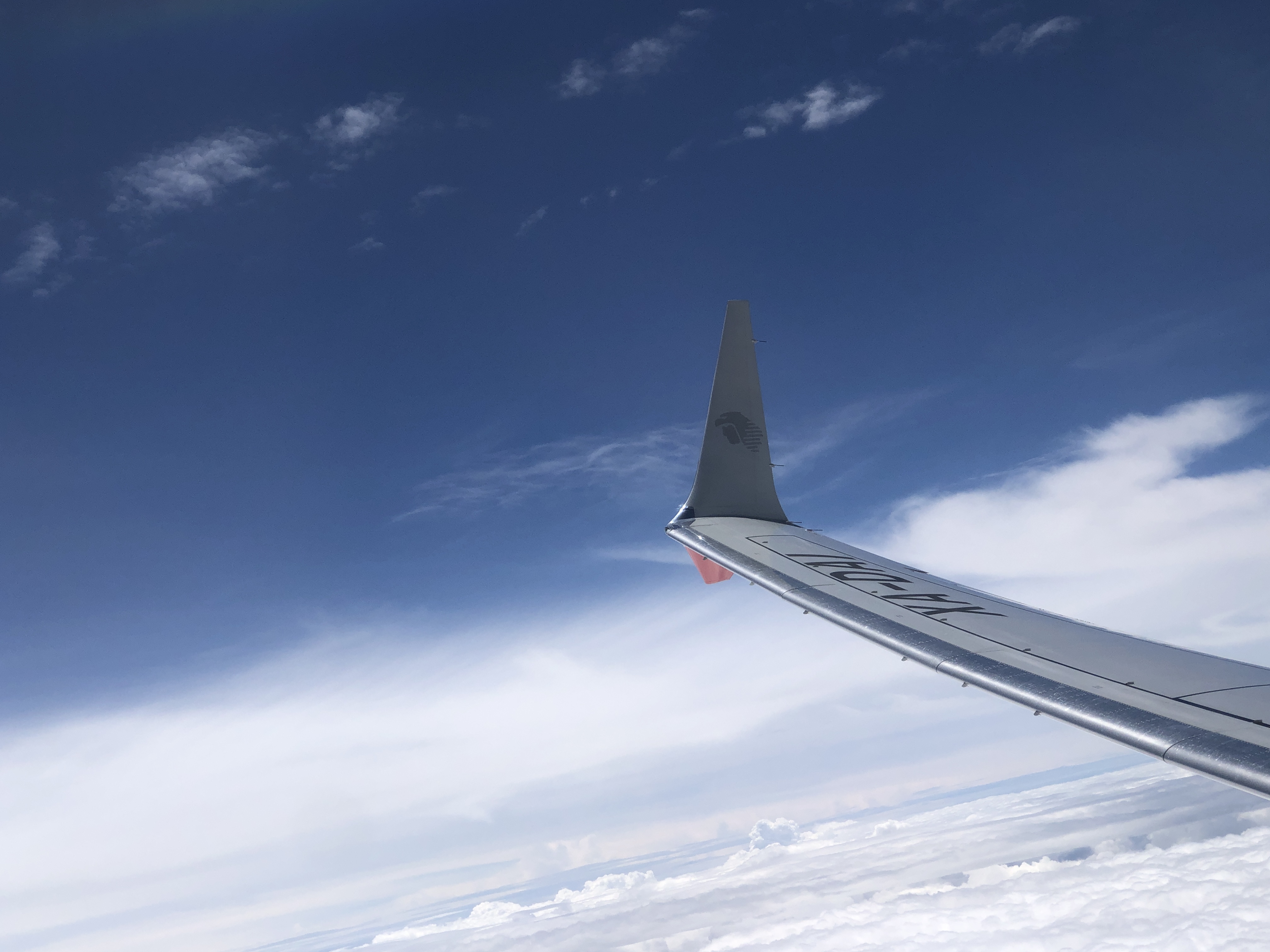 雪の上を飛ぶ飛行機の翼