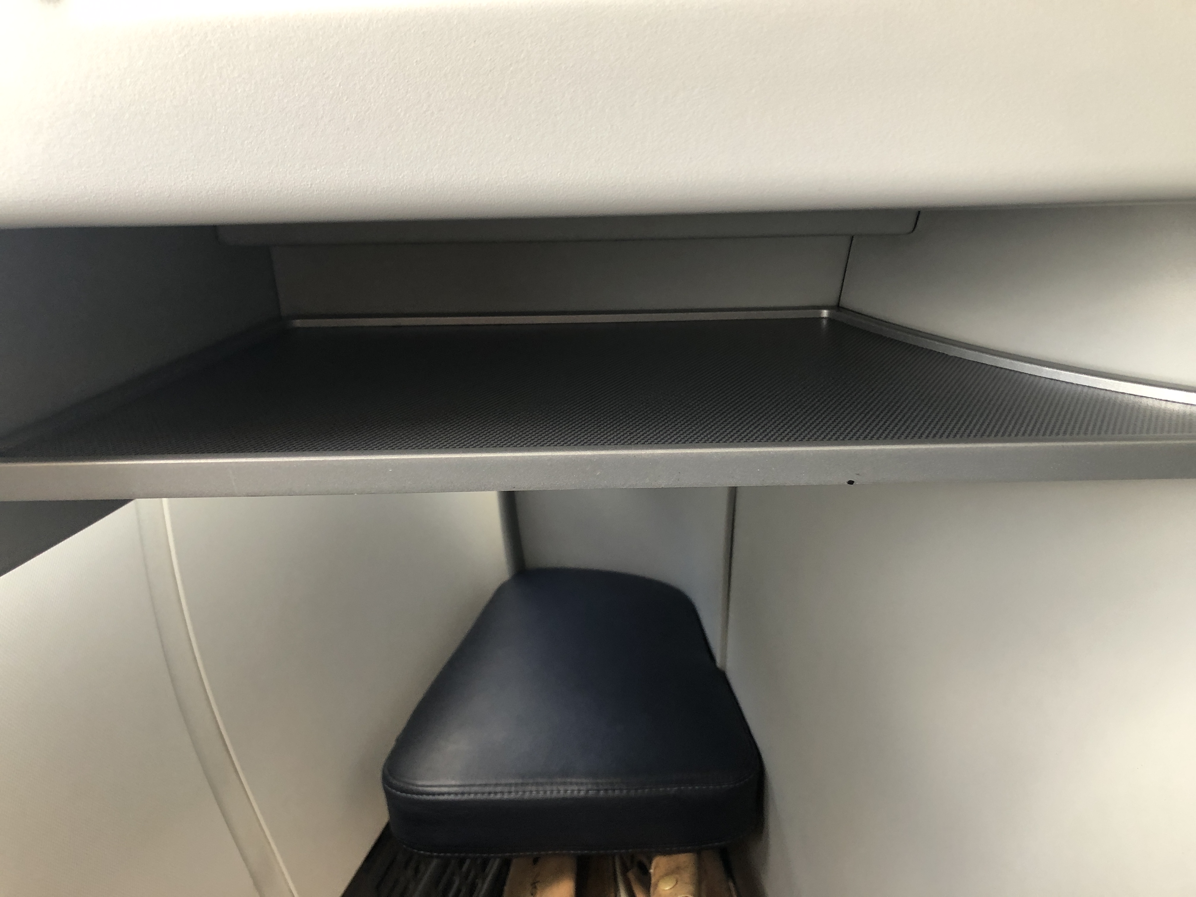 車の窓から顔を出している
