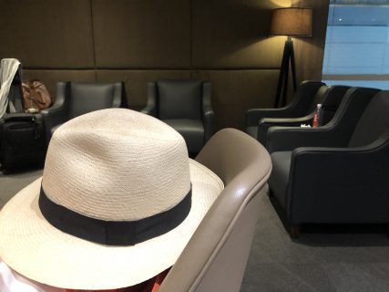 Lounge Review : ニューデリー空港(DEL) ターミナル3 プラザプレミアムラウンジ(航空会社招待)(Plaza Premium Lounge)