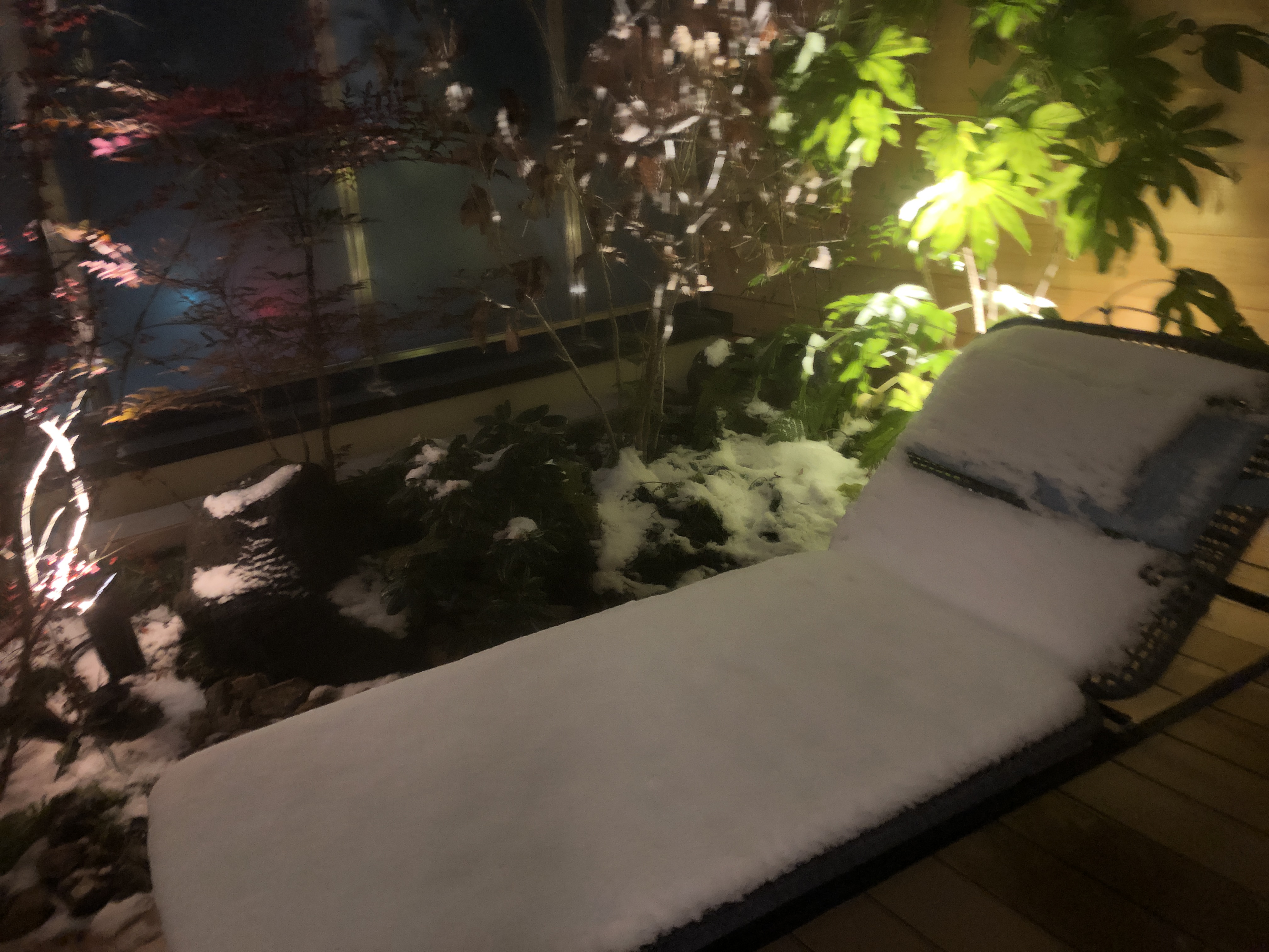 夜のプール