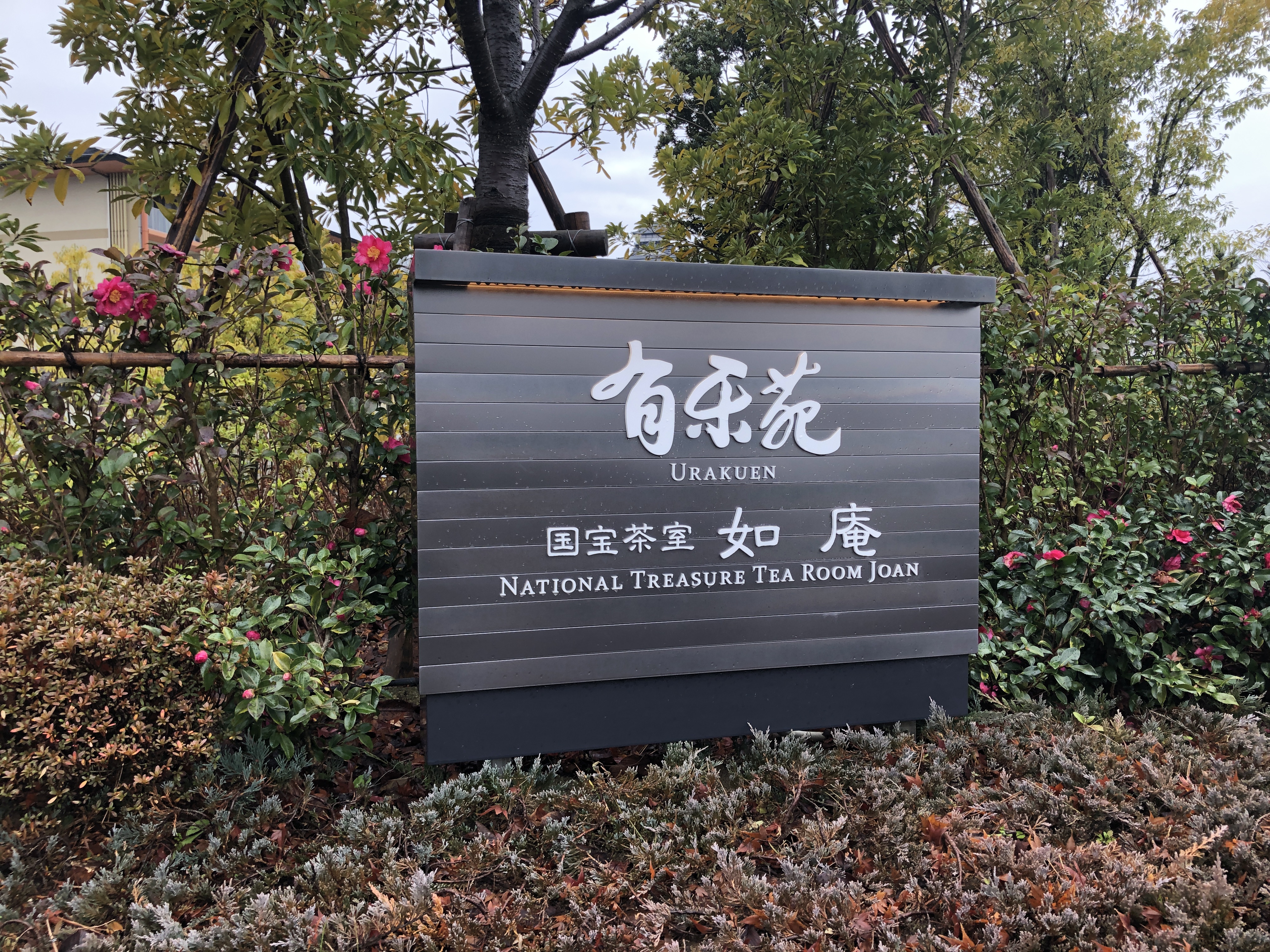 草の上に置かれたベンチ