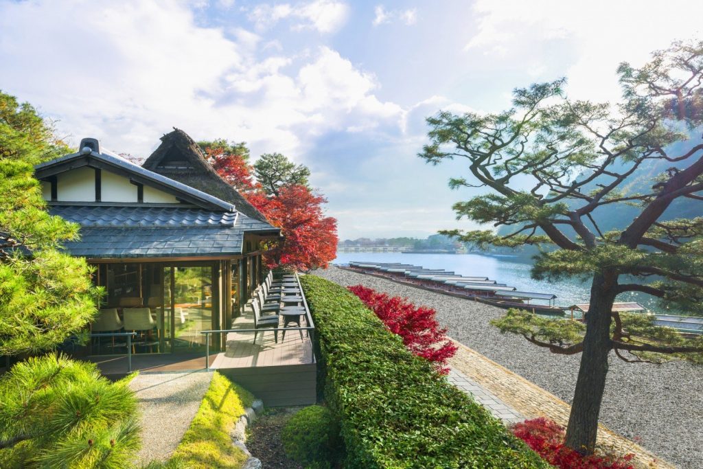 庭に植えている数々の家
