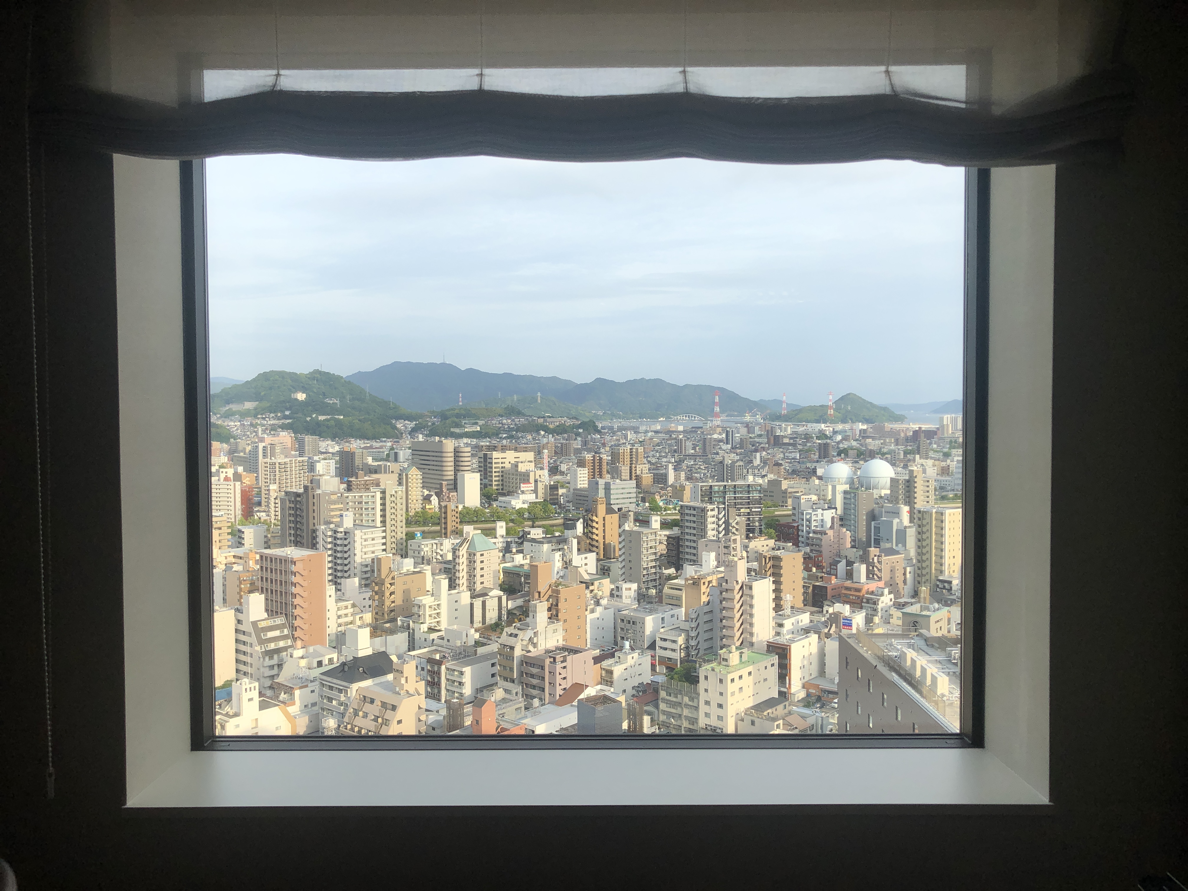 窓から外を見ている
