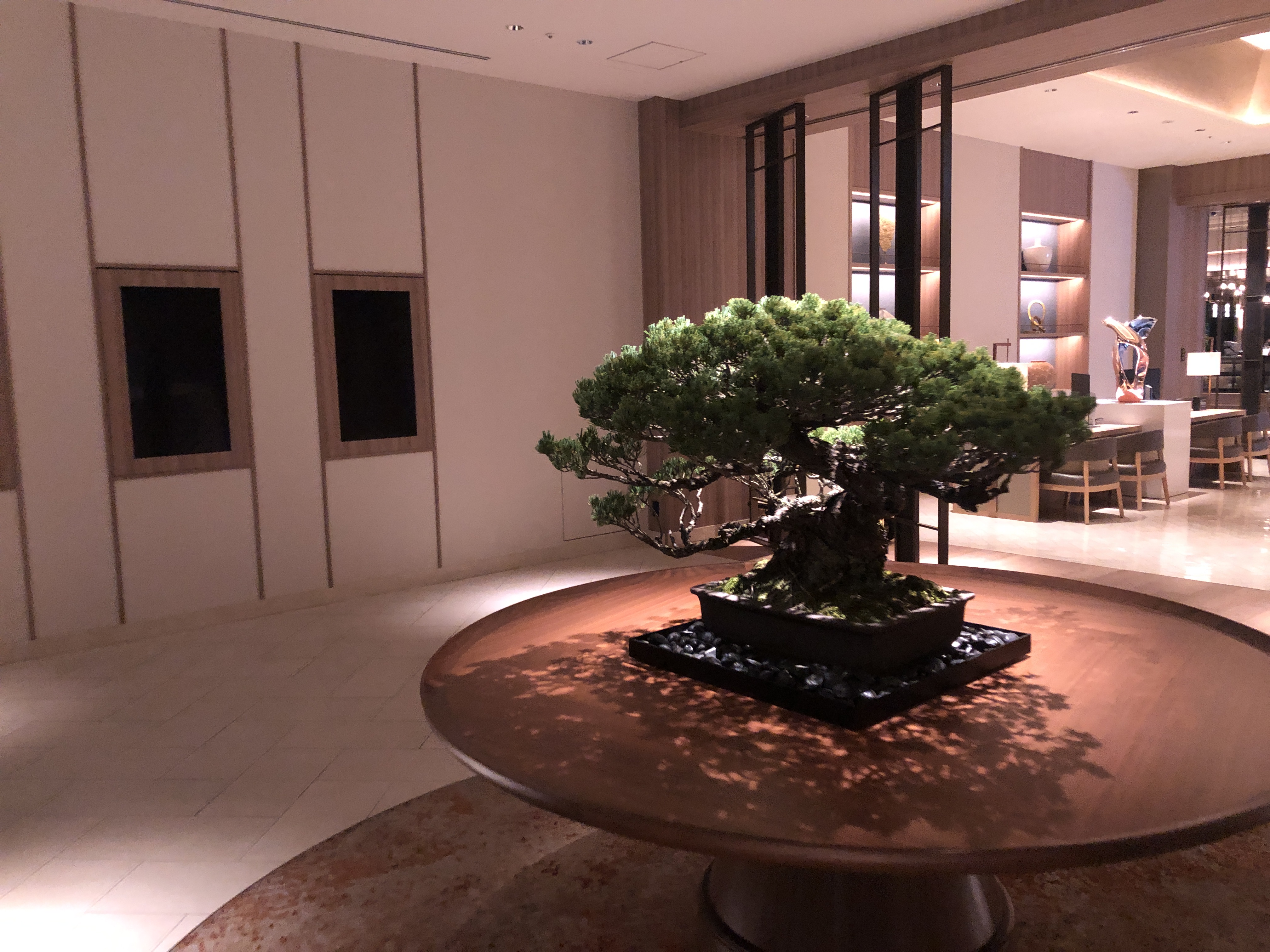テーブルの上の花瓶に入った植物