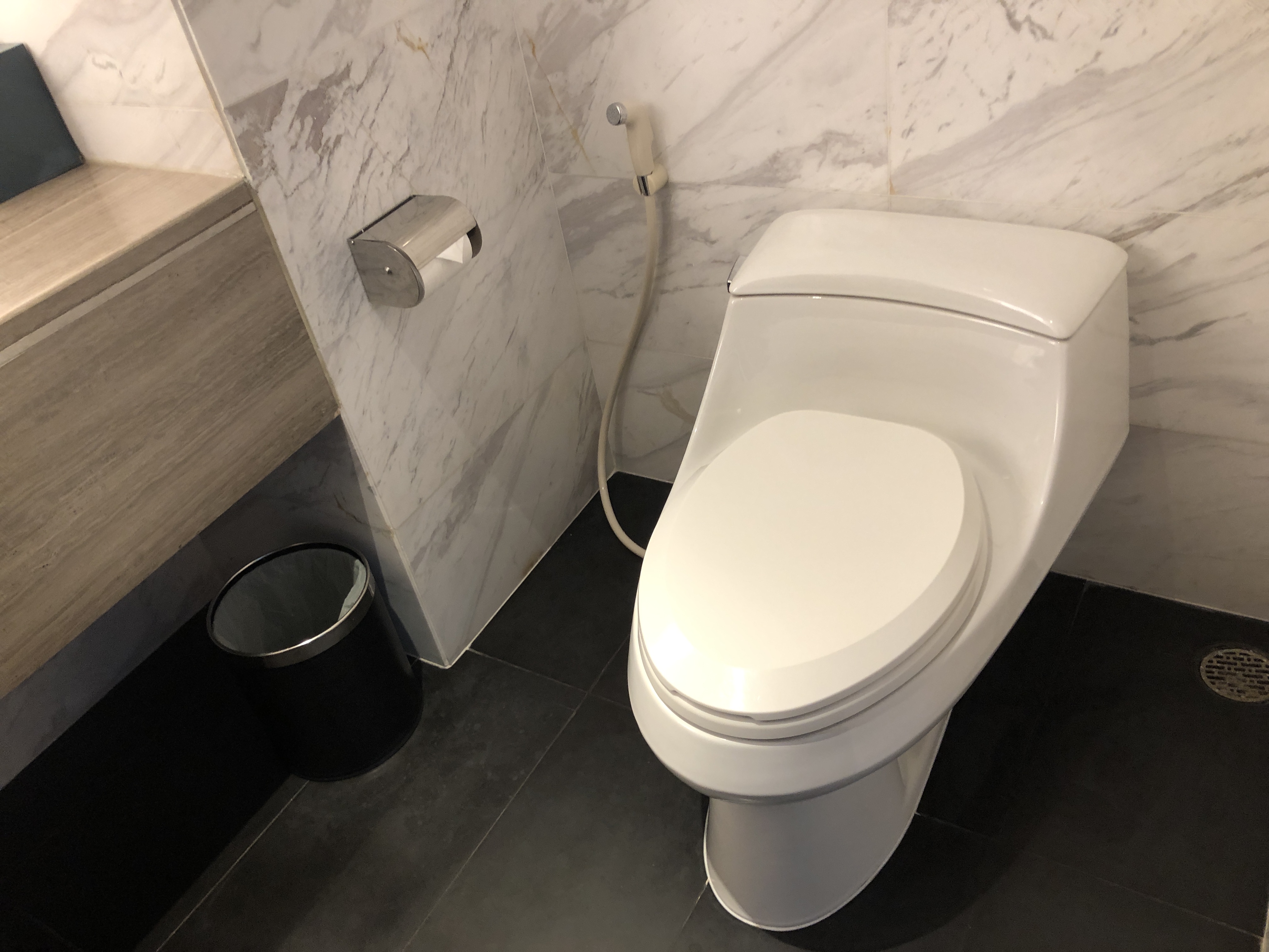バスルームの一角にある便器
