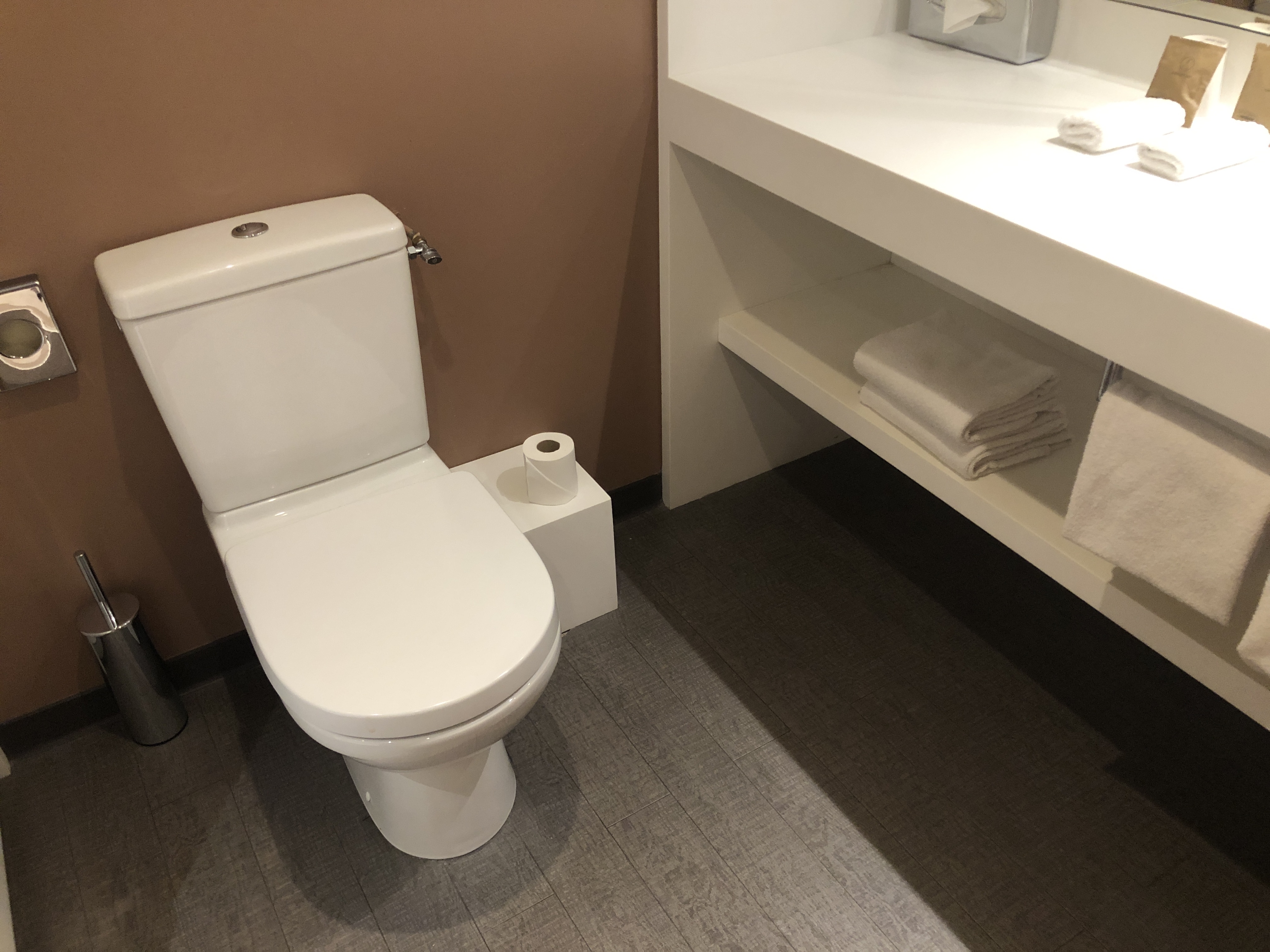 鏡のある洗面台と便器