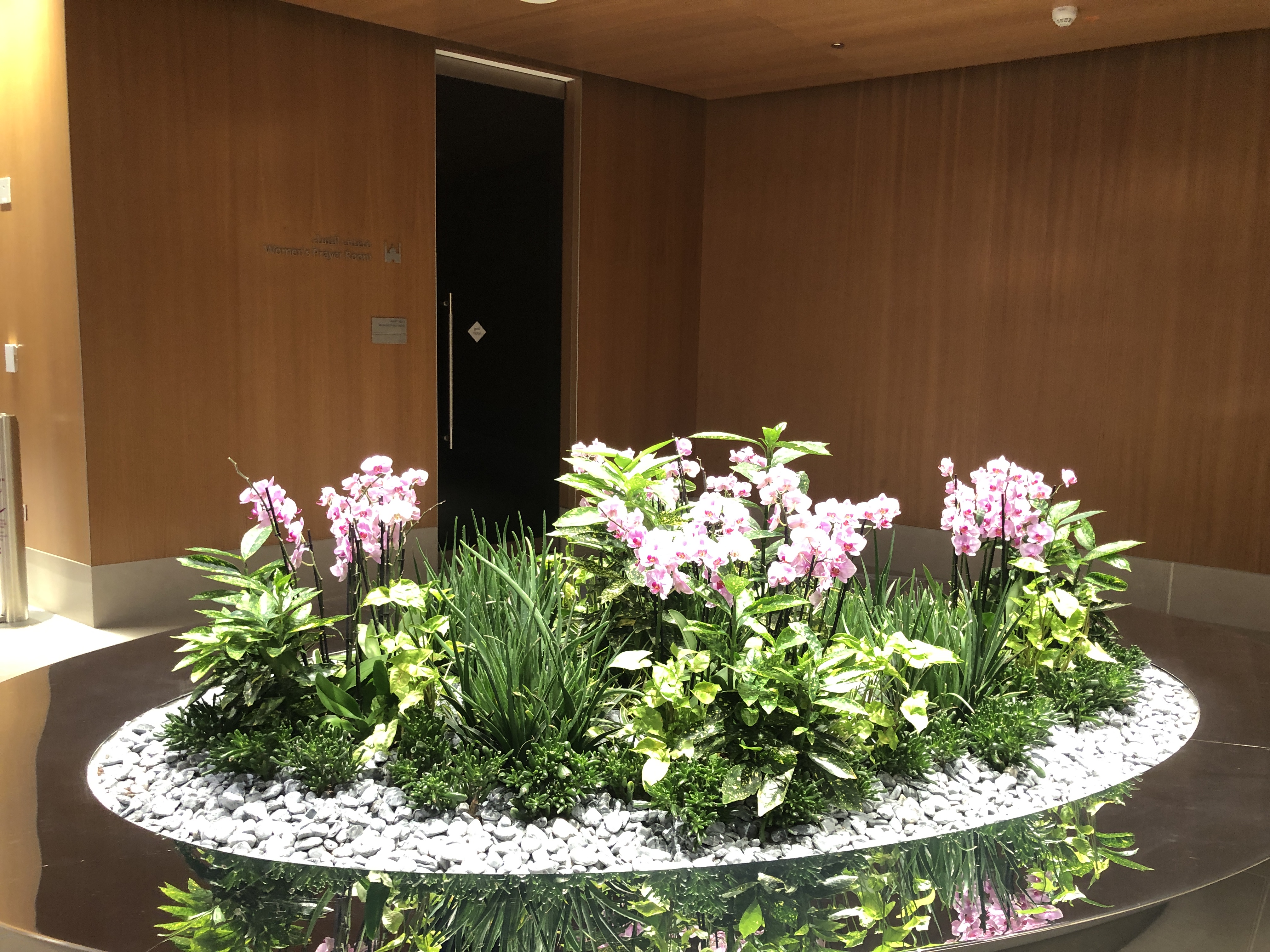 花が咲いている花壇