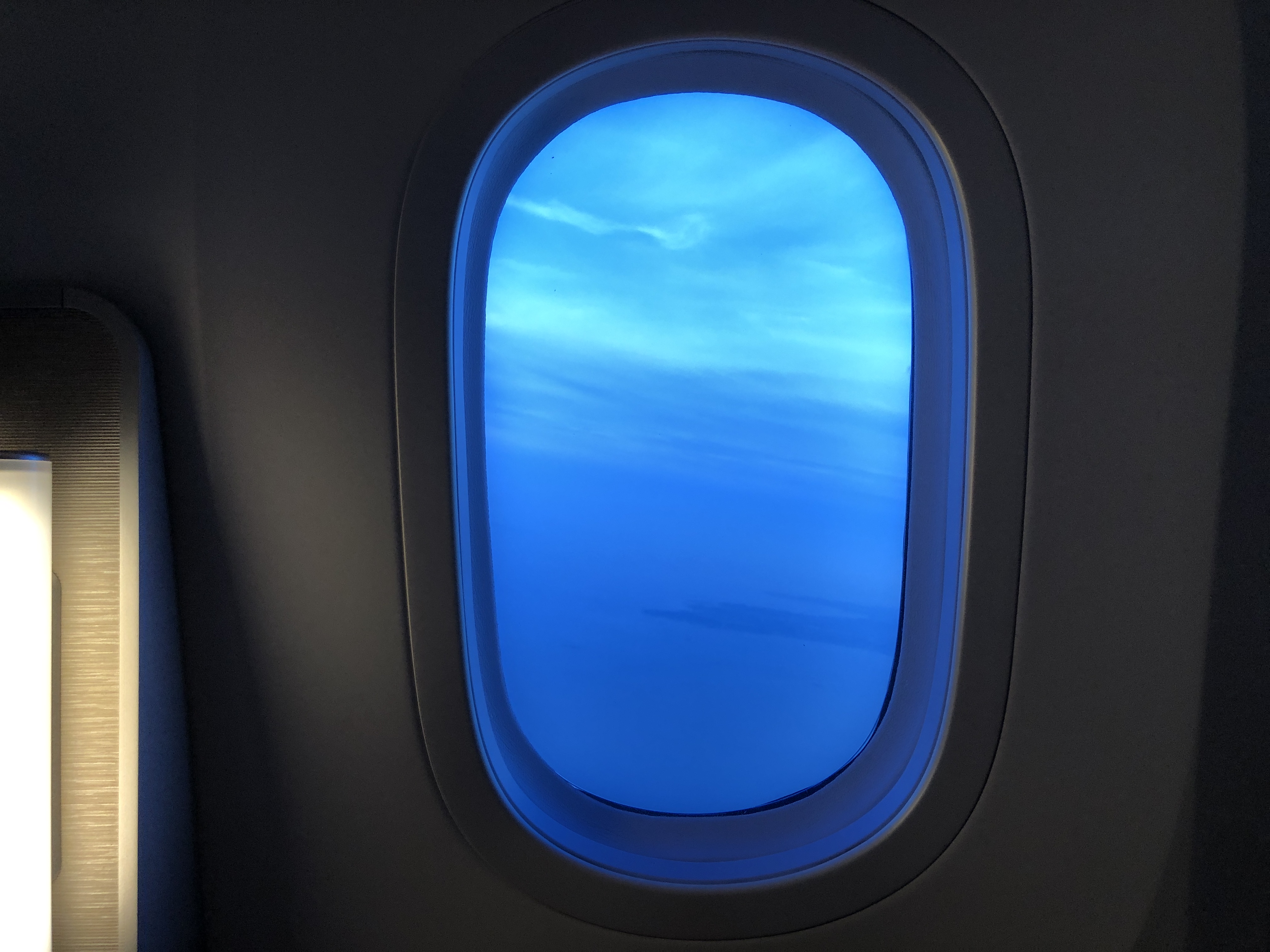 飛行機の窓から顔を出している