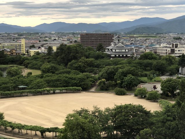 a river with trees and buildings